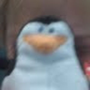 Meet your Posher, Sue